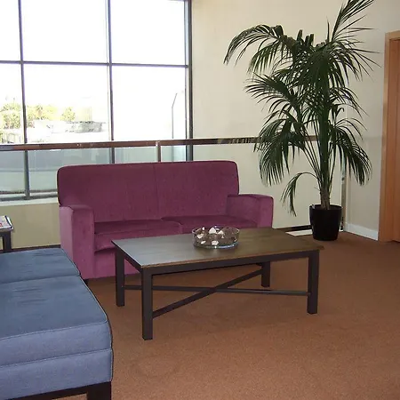 Exe Palmera Hotel