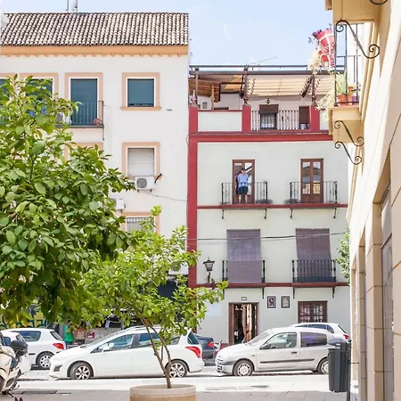 Apartment Alohamundi Castilla Ii