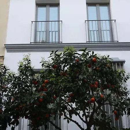 Otel Ritual Suites Malaver 23 (adults Only) Sevilla