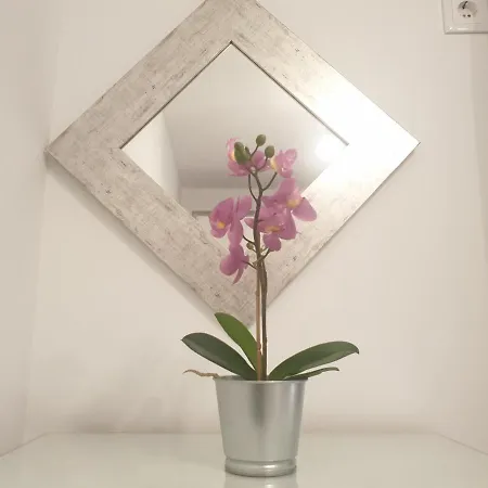 Dona Lola House Apartment