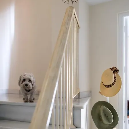 Eva Recommends San Pablo Duplex *
