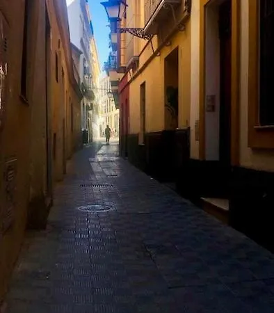 Wish Hiniesta De Seville