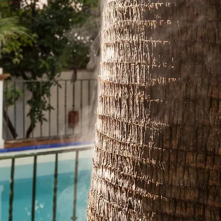 Villa Elvira, Exclusive Pool And Gardens In The Heart Of *