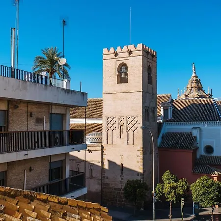Divi Centro *