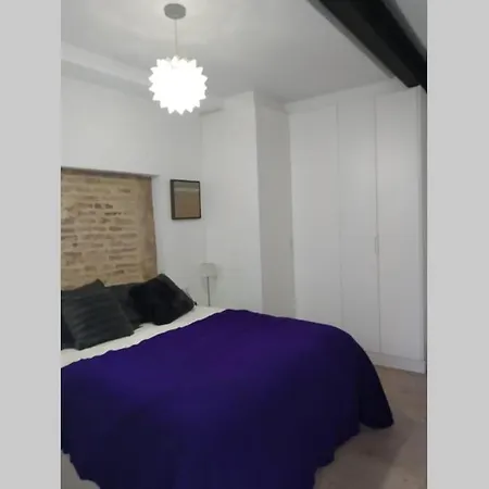 Casa Libelula, Loft En El Centro De Sevilla. Apartment
