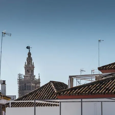 Lirio Donkey Parking * Sevilla