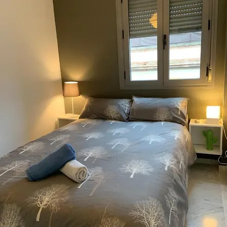 Apt Calle Froilan De La Serna Seville