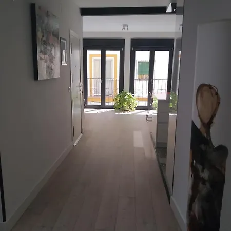Apartment Casa Libelula, Loft En El Centro De Sevilla. *