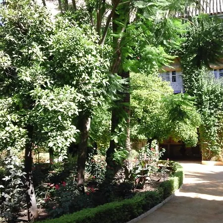 Apartment Hispalis Santa Angela *