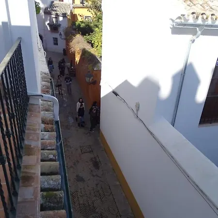 The Of The Alcazar Palace Apartment