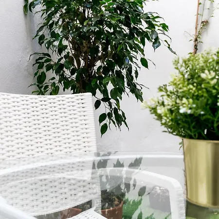 Apartamento Con Terraza En El Centro Historico