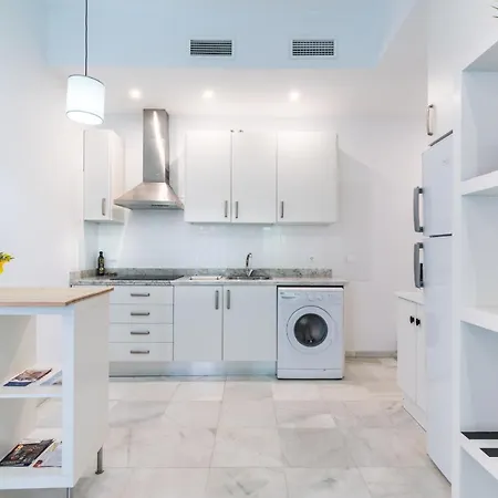 Apartamento Con Terraza En El Centro Historico Seville