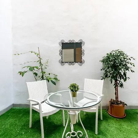 Apartamento Con Terraza En El Centro Historico