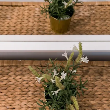 Apartamento Con Terraza En El Centro Histórico Sevilla