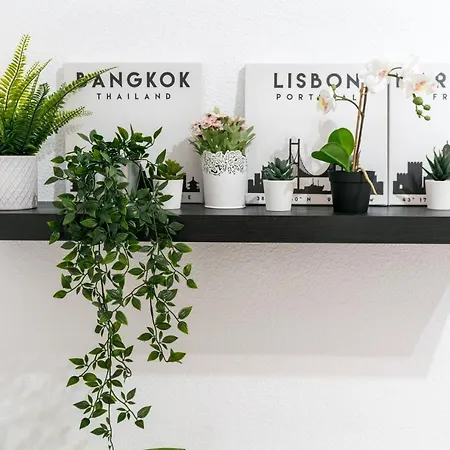 Svl - Sunny And Bright At Historical Center Apartment