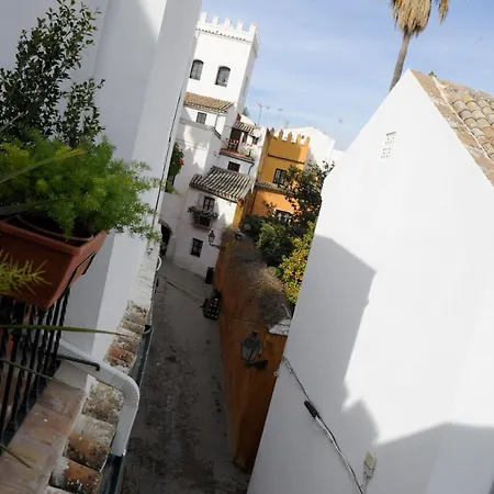 The Of The Alcazar Palace * Sevilla