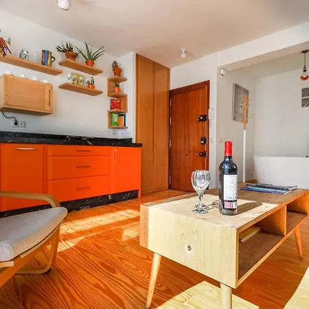 Cozy 1br Recently Renovated In Centre Apartment
