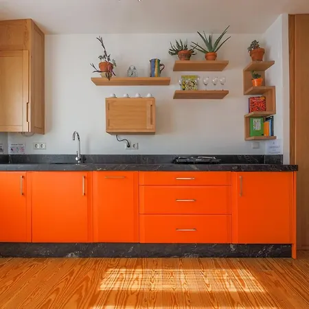Cozy 1br Recently Renovated In Centre Apartment *
