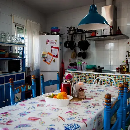 La Flamenka Hostel