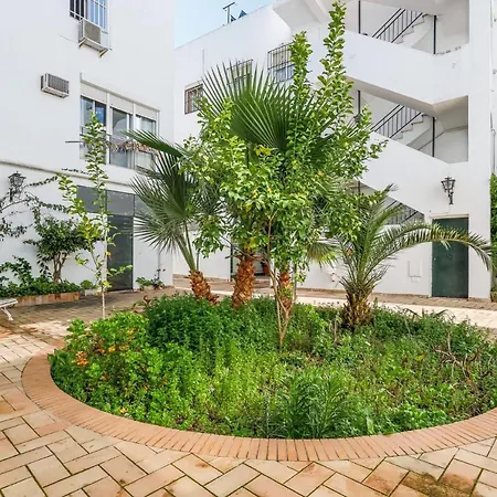 Cozy 1br Recently Renovated In Centre Apartment *