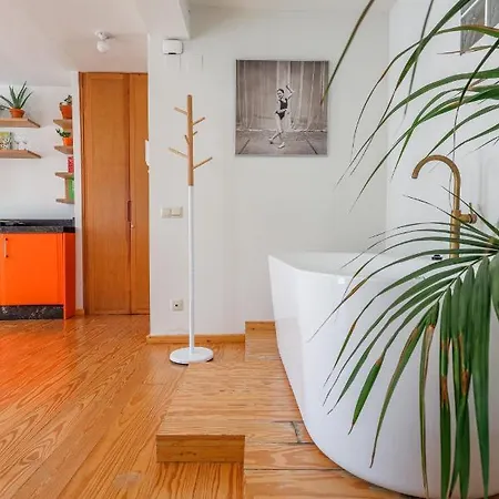 Apartment Cozy 1br Recently Renovated In Centre Seville