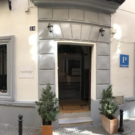 ノーチェラ