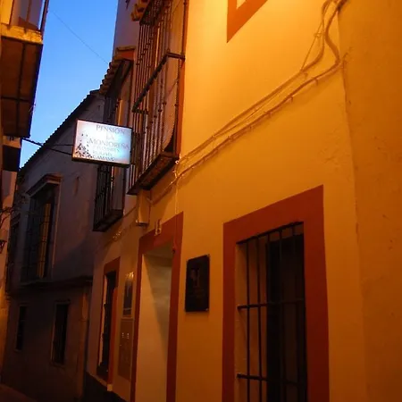 Montorena Sevilla