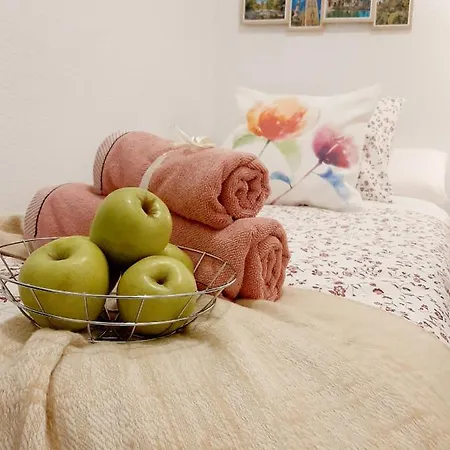 Apartment Bohemian & Catedral -parking *
