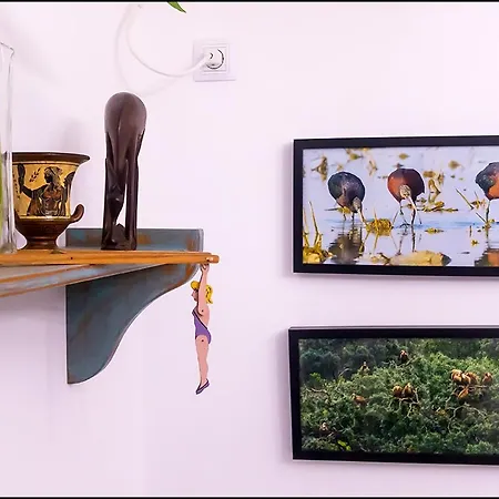 Casa De Pájaros * Sevilha