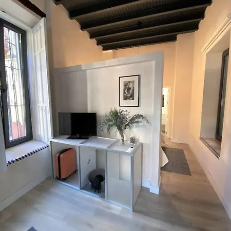 Casa Casco Historico * Seville