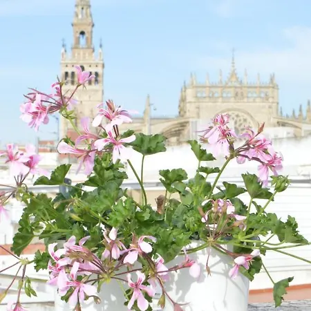 Apartment Homeyseville-amazing Penthouse Giralda Views 8 Pax, Parking Optional *