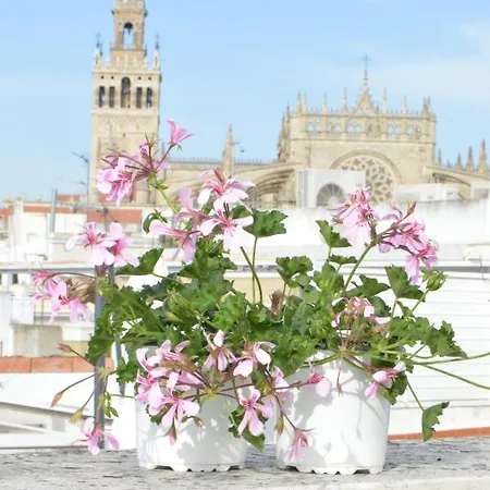 Homeyseville-amazing Penthouse Giralda Views 8 Pax, Parking Optional *