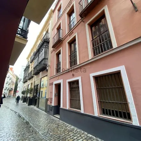 Piso Exterior Centro