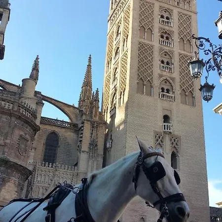 Casalinda Centro Santa-cruz Alcazar *