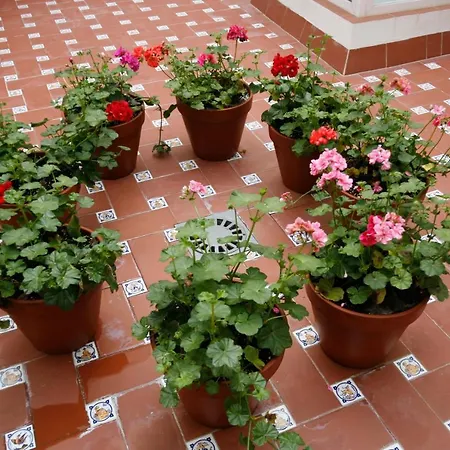 Cruces Appartamento Siviglia