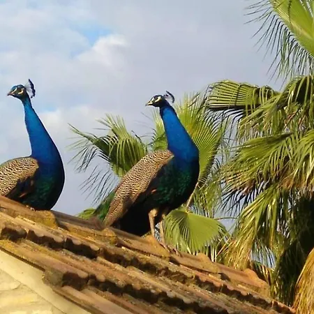 Сasa de vacaciones Cortijo San José *