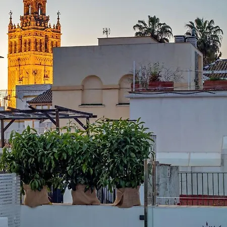 Pimienta 9- Santa Cruz Luxury By Valcambre Apartment