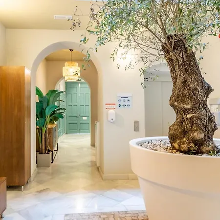 Apartment Kayser Premium