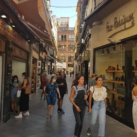 Apartamento Tranquilo Y Con Encanto En Palacio Sevillano, Junto Catedral A Acond Y Wifi Appartement *