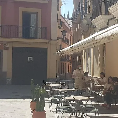 Apartamento Tranquilo Y Con Encanto En Palacio Sevillano, Junto Catedral A Acond Y Wifi
