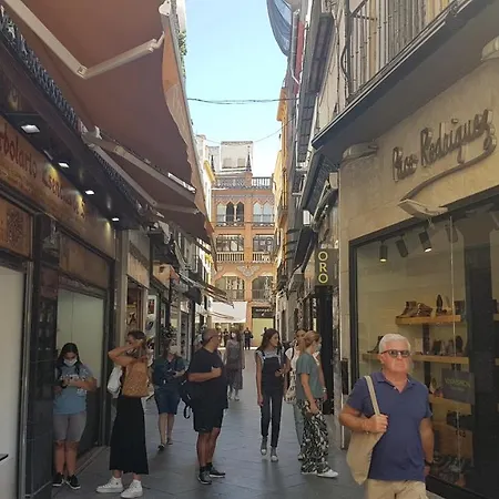 Apartamento Tranquilo Y Con Encanto En Palacio Sevillano, Junto Catedral A Acond Y Wifi Appartement Séville