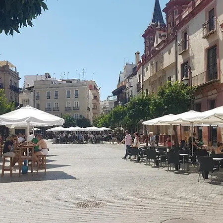 Apartamento Tranquilo Y Con Encanto En Palacio Sevillano, Junto Catedral A Acond Y Wifi *