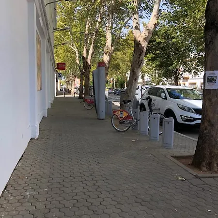 1 Y Salon Con Sofa Cama Bien Comunicado Con El Centro Sevilla