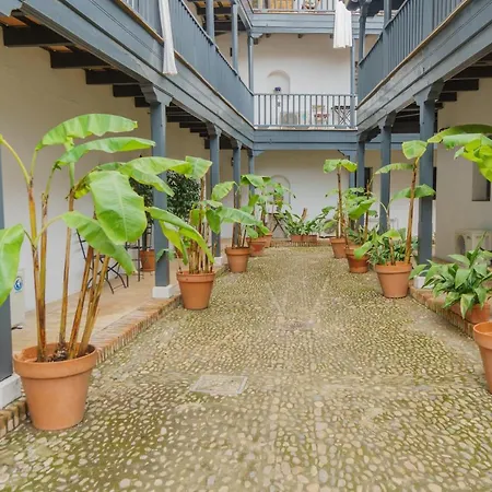 Apartment Earl's Farmyard Seville