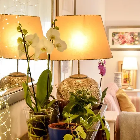 Apartamento Your In