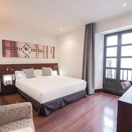 Petit Palace Marques Santa Ana Hotel