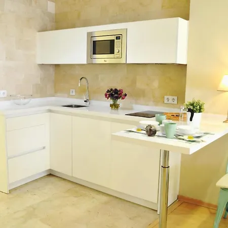 Homeyseville-penthouse Cathedral Tomas De Ibarra St 6 Pax, Parking Optional Apartment Seville