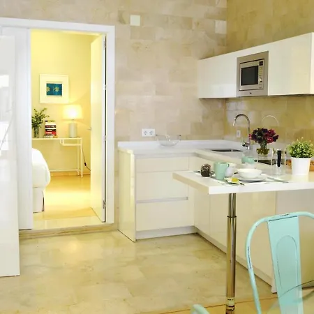 Homeyseville-penthouse Cathedral Tomas De Ibarra St 6 Pax, Parking Optional Apartment Seville