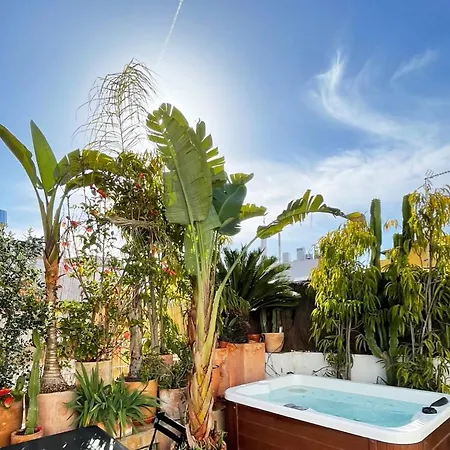 Alameda Modern Art House With Outdoor Jacuzzi In Roof