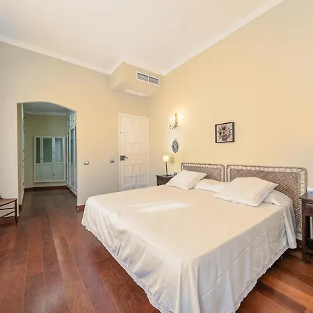 Apartment Aoa Plaza Santa Marta Seville